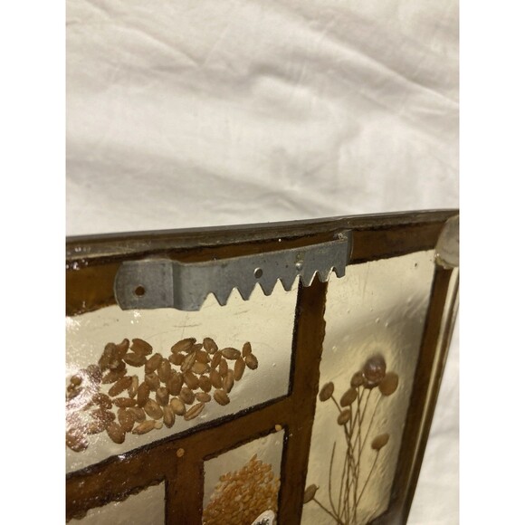 Vintage Dried Flower & Seeds Lucite Resin Trivet Hanging Art COLORFLO 1970s - Picture 8 of 9
